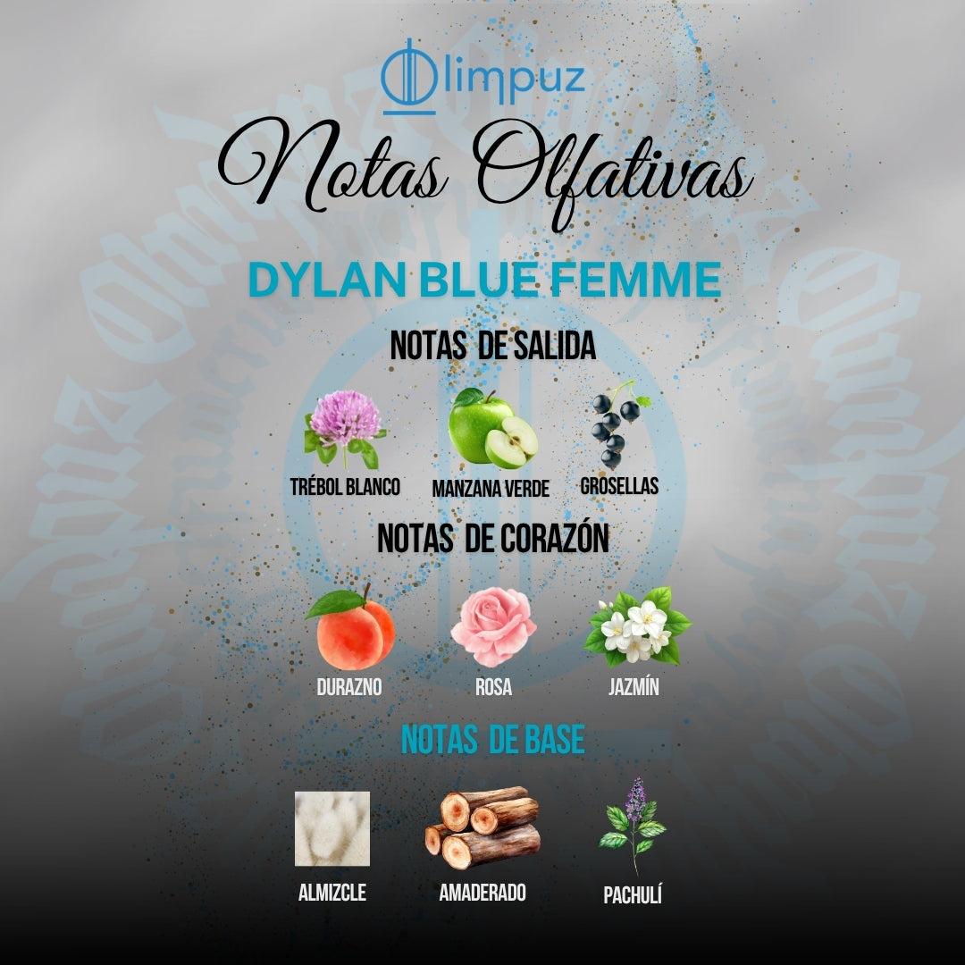Inspiración Dylan blue Versace