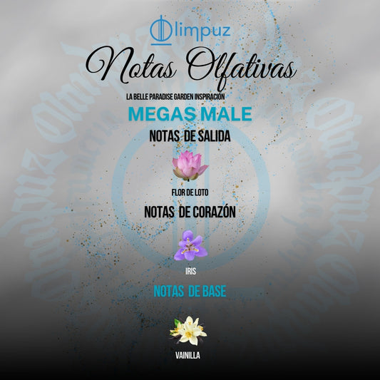Megas Male - Inspiración La Belle Paradise Garden