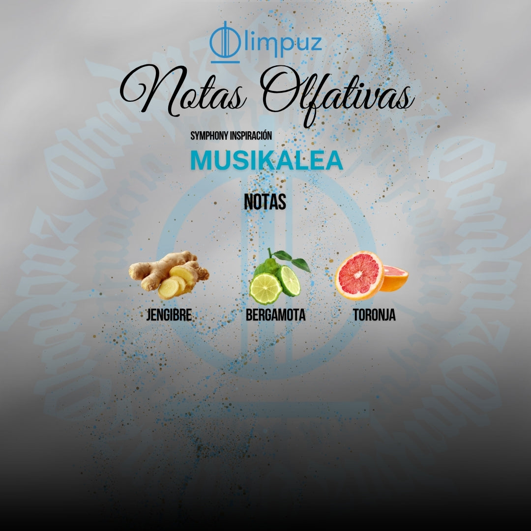Musikalea - Inspiración Symphony Louis Vuitton