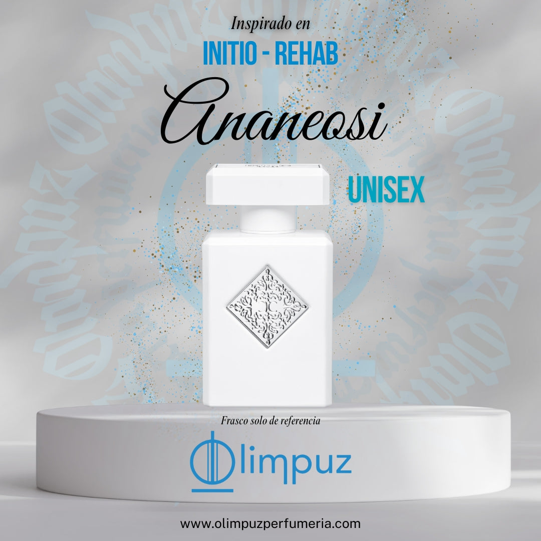 Ananeosi - Inspiración Rehab Initio