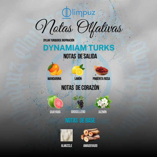 Dynamiam Turks - Inspiración Dylan Turquoise